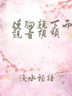 摸胸亲下面在线观看视频