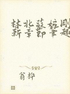 林北苏婉刚刚更新章节笔趣阁