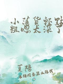 小荡货轻点灬太粗嗯太深了小说