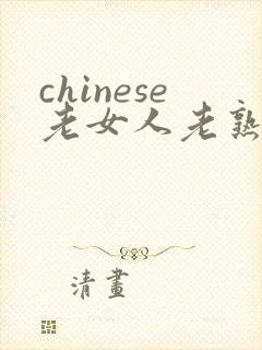 chinese老女人老熟妇hd,'