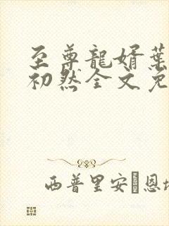 至尊龙婿叶辰萧初然全文免