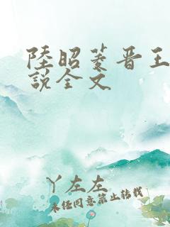 陆昭菱晋王的小说全文