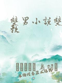 双男小说双性调教