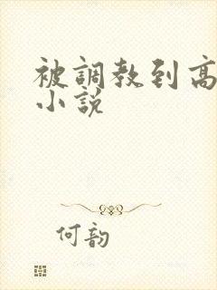 被调教到高潮的小说