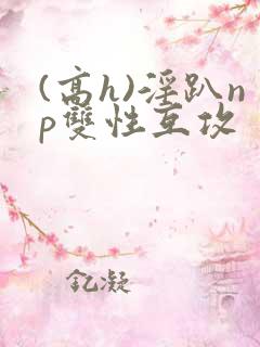 (高h)淫趴np双性互攻