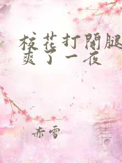 校花打开腿让我爽了一夜