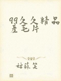 99久久精品国产毛片