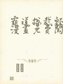 霸道总裁轻轻爱漫画免费阅读漫画