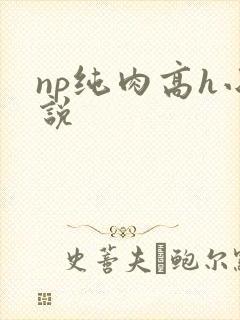 np纯肉高h小说