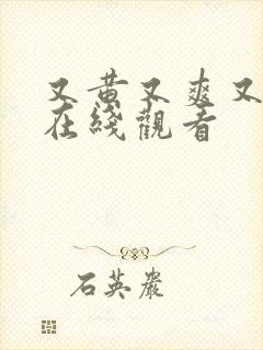 又黄又爽又高潮在线观看