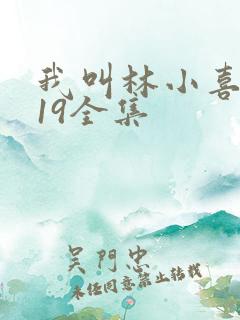 我叫林小喜今年19全集