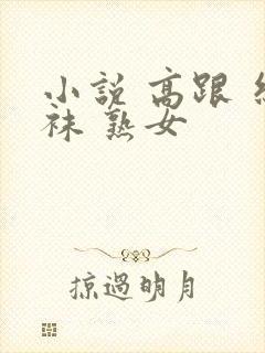 小说 高跟 丝袜 熟女