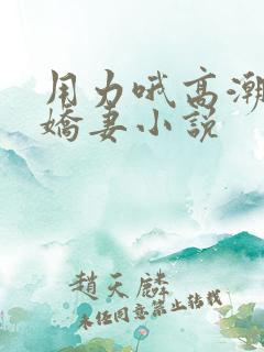 用力哦高潮喷了娇妻小说