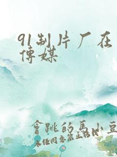 91制片厂在线传媒
