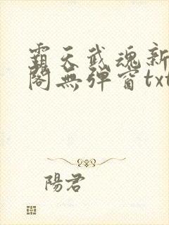 霸天武魂新笔趣阁无弹窗txt