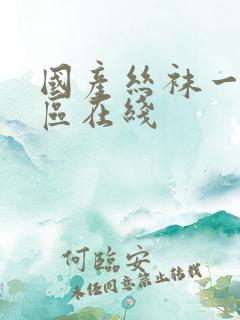 国产丝袜一区二区在线