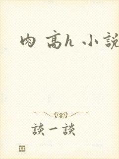 肉 高h 小说