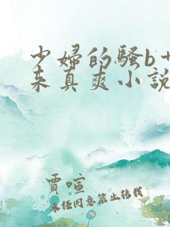 少妇的骚b艹起来真爽小说