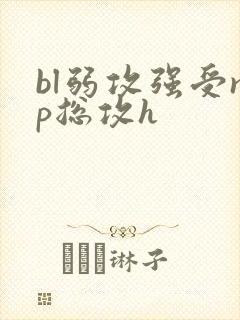 bl弱攻强受np总攻h