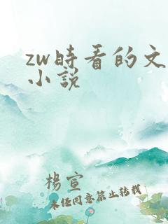 zw时看的文案小说