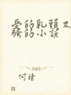 受的乳头又大又骚的小说