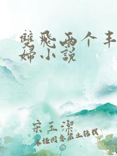 双飞两个丰满少妇小说