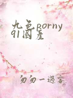 九色porny91国产