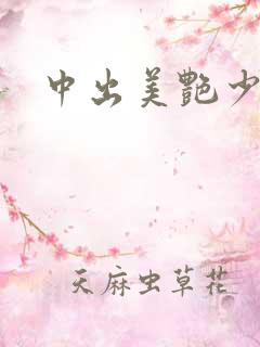 中出美艳少妇