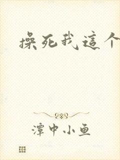 操死我这个骚货