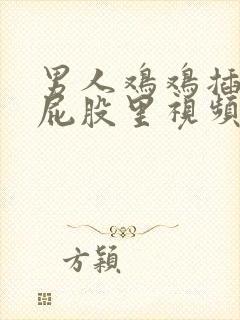 男人鸡鸡插女人屁股里视频