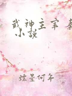武神主宰 秦尘 小说