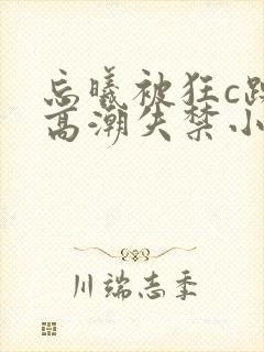 忘曦被狂c躁到高潮失禁小说