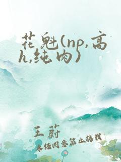 花魁(np,高h,纯肉)