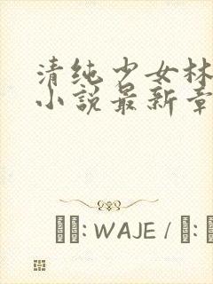 清纯少女林小柚小说最新章节