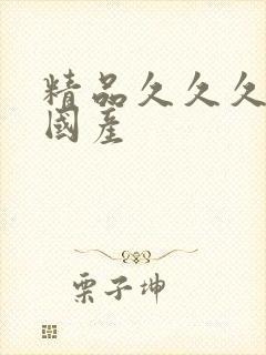 精品久久久久久国产