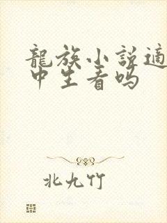 龙族小说适合初中生看吗