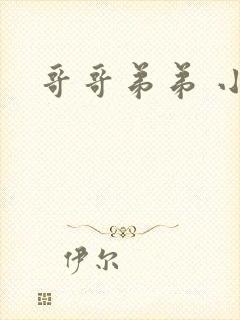 哥哥弟弟 小说