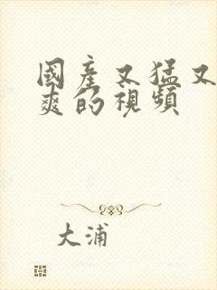 国产又猛又粗又爽的视频