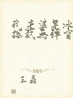 我老婆是冰山女总裁无弹窗