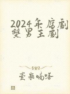 2024年腐剧双男主剧