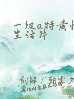 一级a特黄性色生活片