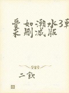 爱如潮水3韩国未删减版