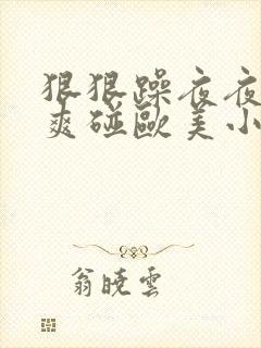 狠狠躁夜夜躁人爽碰欧美小说