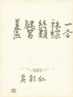 美腿丝袜一区二区另类综合