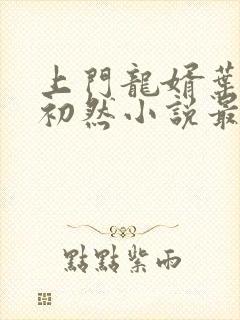 上门龙婿叶辰萧初然小说最新章节