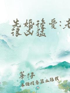 先婚后爱:老公很凶猛