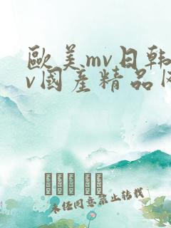 欧美mv日韩mv国产精品网站