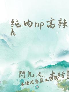 纯肉np高辣文h