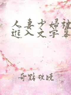 人妻少妇被猛烈进入文字幕