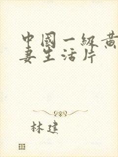 中国一级黄色夫妻生活片